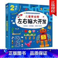 儿童黄金期左右脑2-3岁 单本 [正版]一问一答大脑训练幼儿2-3-4-56岁儿童左右脑开发思维游戏书籍幼儿园宝宝益智启