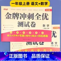 [1上2本推荐]语文+数学 [正版]小学语文数学试卷综合测试卷全套同步人教版一二三年级四年级五年级六年级上册下册小学生单