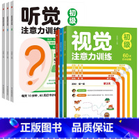 [6本全套推荐]3本听觉训练+3本视觉训练 [正版]儿童听觉注意力训练3-4-5到6岁以上8-12岁幼儿园小学生视觉