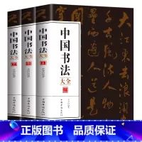 [正版]全三册 中国书法大全 从入门到精通学书法颜体石门颂礼器碑曹全碑张迁碑中国传世书法技法书法大全基础入门书籍