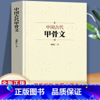 中国古代甲骨文 [正版]中国古代甲骨文 领略古文字风采 国学历史文字 历史古文字商 甲骨文中国文化大厚本 文字解说