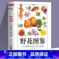 [正版]野花图鉴常见花卉园林植物识别图鉴 张彦妮贺风春园林花草树木植物野花野外识别鉴赏速查手册图谱图鉴百科全书花卉养殖