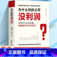 为什么你的公司没利润 [正版]为什么你的公司没利润 写给中小企业老板超醒脑的财务思维课 一眼看穿 洞悉利润本质抓住经营命