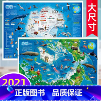 [正版]全新版儿童房挂图系列南极地区北极地区南极北极地图中国知识地图少儿地图装饰贴画儿童房间贴图初中小学生大小尺寸