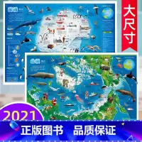 [正版]全新版儿童房挂图系列南极地区北极地区南极北极地图中国知识地图少儿地图装饰贴画儿童房间贴图初中小学生大小尺寸