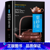 [正版]书籍 紫砂壶收藏与鉴赏 鉴定收藏与把玩 古玩文玩入门基础知识百科指南图画集手串挂件佛珠养护鉴赏收藏书籍书