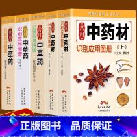 [正版]全新 全五册常用中药材识别应用图中草药识别应用图谱 精致中草药工具丛书 中医中药学习 中药材中草药鉴别辨别中医