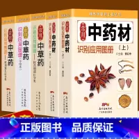 [正版]全新 全五册常用中药材识别应用图中草药识别应用图谱 精致中草药工具丛书 中医中药学习 中药材中草药鉴别辨别中医