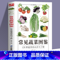 [正版]常见蔬菜图鉴五谷杂粮营养介绍饮食功效解读 食材选购指南美食烹饪菜谱 食物营养搭配饮食宜忌大全书饮食功效解读食材
