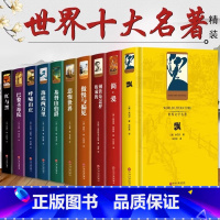 [正版]世界十大名著全10册巴黎圣母院飘我的大学童年红与黑呼啸山庄在人间 简.爱傲慢与偏见复活世界名著中文版小说书籍