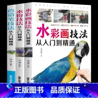 [正版]全三册 水彩画技法从入门到精通+水粉技巧从入门到精通+色铅笔技法从入门到精选 自学零基础书籍书速写书书水粉