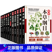 [正版]全套11本中医书籍大全本草纲目李时珍彩图全集黄帝内经伤寒论张仲景金匮要略千金方温病条辨神农本草经偏方验方中草药
