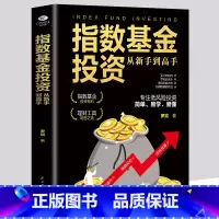 [正版]指数基金投资从新手到高手投资市场趋势分析攻略助你玩转指数基金投资入门到精通投资理财技巧指导投资经典书籍基金投资