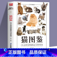 [正版]猫图鉴 179种纯种猫的特征习性 宠物猫图鉴 文字图解 高清鉴赏图片 自然科普爱好者的专业工具书 动物科普 养