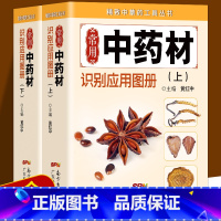 [正版] 常用中药材识别应用图上下2册 精致中草药工具丛书 中医中药学习 中药材中草药鉴别辨别 本草纲目中医中药常