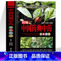 [正版]精编中国药典中药原色图谱 中医基础理论中草药彩图大全书 本草纲目黄帝内经学用中草药材全图鉴彩色图谱抓配方剂医学