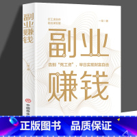 [正版]副业赚钱 在家副业赚钱项目 从零开始学创业思维实现财富自由 互联网赚钱项目风险规避小项目思路课程销售营销管理学