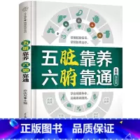 五脏靠养六腑靠通 [正版]五脏靠养 六腑靠通 养生五脏六腑脏腑辨证时节养生中医养生书籍时节养生中国人的健康智慧养生书籍大