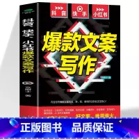抖音快手小红书文案写作 [正版]抖音/快手/小红书文案写作 文案好短视频才容易爆火 好文案谁用谁火 数万次的投放