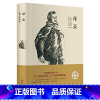 [正版] 母亲 (精装全译本) 世界经典文学小说名著 名家名译 原著原版 全中文完整版图书 课外读物 外国小说 带