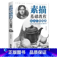 [正版]素描基础教程从入门到精通 绘画素描教程书入门自学零基础书籍 图文并茂学画画的基础素描几何体 美术教程 书籍