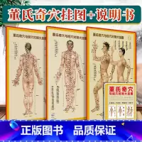 [正版]3张 董氏奇穴与经穴对照大挂图 可搭配邱雅昌杨维杰董氏奇穴实用手册原理结构穴位诠解治疗析要等书籍中医中国医药科