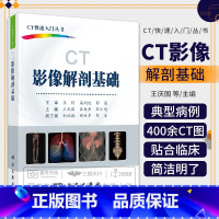 4本 骨肌分册+胸部分册+腹部分册+头颈分册 [正版]ct影像解剖基础 ct影像书 影像学诊断基础教程 影像解剖学 医学