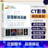 4本 骨肌分册+胸部分册+腹部分册+头颈分册 [正版]ct影像解剖基础 ct影像书 影像学诊断基础教程 影像解剖学 医学