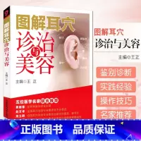 [正版] 图解耳穴诊治与美容 正 耳穴疗法 诊治基础 点位三部曲 保健美容按摩 五位医学名家联合 中国医药 97875
