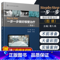 [正版] StepbyStep一步一步做好根管治疗 图谱 葛久禹 铁梅 主编口腔科学医学用书江苏凤凰科学技术出版社9