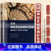 [正版]奈特神经系统疾病彩色图谱 奈特神经系统临床解剖书 内科学神经科学抑郁症睡眠障碍临床医学神经系统疾病彩色图谱 人