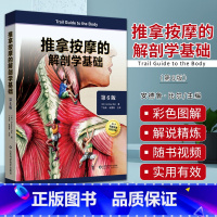 [正版]附视频 推拿按摩的解剖学基础 第六版 第6版 丁自海 张露清 人体结构肌肉解刨运动系统局部疗法物理康复治疗师肌
