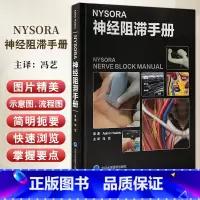 NYSORA神经阻滞手册 美 阿迪曼尔哈季奇 完整标准的实用知识以及临床上 适用的实践技术与引用大量的文献 北 [正版]