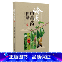 [正版]岭南中草药图谱/9787506786935/郑小吉,饶军,林伟波/医药科