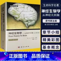 [正版] 神经生物学从神经元到脑 原书第五版 意 尼克尔斯尼,杨雄里译 生命科学 生物学心理学和医学参考书教辅书籍神经
