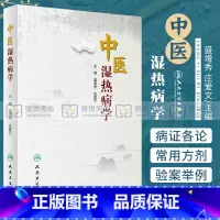 [正版]中医湿热病学 盛增秀 庄爱文 主编 2020年5月参考书 中医 中医学 书籍 医学用书 人民卫生出版社 978