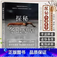 [正版]探秘冬虫夏草