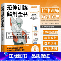 [正版]拉伸训练解剖全书 基于解剖学原理 全方位的科学拉伸训练 图解肌肉训练书籍健身教程书力量 运动 肌肉放松 北京科