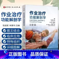 作业治疗功能解剖学 南森绍特等著 为了强调作业表现中所涉及的运动本质我们在介绍身体各关节的功能运动时 [正版]作业治疗功