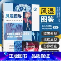 [正版]风湿图鉴 赵久良 吴歆 朱小霞 耿研 风湿免疫病学临床图鉴图谱图谱病理学影像学检查诊断书籍风湿免疫科风湿病书籍