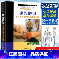 [正版]功能解剖 肌与骨骼的解剖 功能及触诊 人体解剖彩色学图谱奈特人体彩色解剖图谱人体解剖书 运动解剖学书骨骼肌肉体
