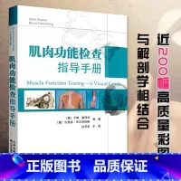 [正版] 肌肉功能检查指导手册 引进版中文翻译 肌肉功能的快速评估肌肉上肢下肢临床诊断运动员肌肉损伤分析 天津科技翻译