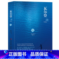 [正版]美国自然文学的典范,与《圣经》一同被评为“塑造读者的25本书” 瓦尔登湖 梭罗著 一生的珍藏 外国小说