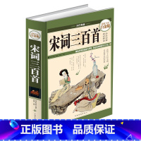 [正版] 宋词三百首(全彩白金版)(精)/国学典藏 古典解祥原文注释词意赏析 中国古代诗词唐诗宋词元曲图文珍藏本畅