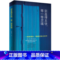 [正版]别走的太快等一等灵魂 回归初心寻找自己的心灵之书 心灵成长作品 青春成功励志书 心灵修养 改变青年的疗愈书籍