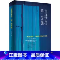 [正版]别走的太快等一等灵魂 回归初心寻找自己的心灵之书 心灵成长作品 青春成功励志书 心灵修养 改变青年的疗愈书籍