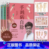 [正版]全3册手到病自除1.2.3 邻家老奶奶杨奕送给全家老小的健康书!全彩真人配套图解版随书附赠人体经络穴位挂图图书