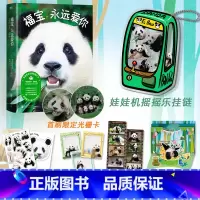 福宝,永远爱你 [正版]专享赠品+首刷特典福宝 永远爱你 熊猫福宝图文写真集 姜爷爷 给福宝的送别之书 图书书籍漫画福宝