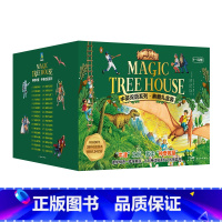 [全32册 全8辑]中英双语系列:典藏礼盒装1—32册 [正版]全32册神奇树屋1-32册中英双语版 Magic Tre