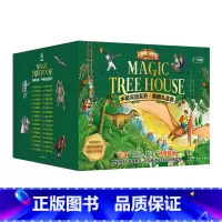 [全32册 全8辑]中英双语系列:典藏礼盒装1—32册 [正版]全32册神奇树屋1-32册中英双语版 Magic Tre